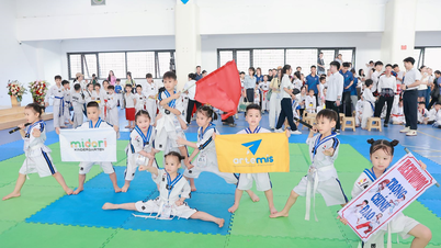 สนามเล่นฤดูร้อนที่คุ้มค่าสำหรับ "นักรบในอนาคต"