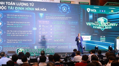 El desbloqueo de la tecnología cuántica genera un impulso para el desarrollo a largo plazo.