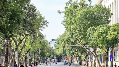 Vietnam bagian utara memiliki cuaca panas dan kelembapan rendah.