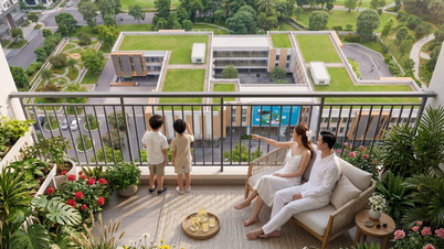 Tay Ninh da prioridad a 52 parques industriales: una oportunidad para modelos urbanos al servicio de los expertos.