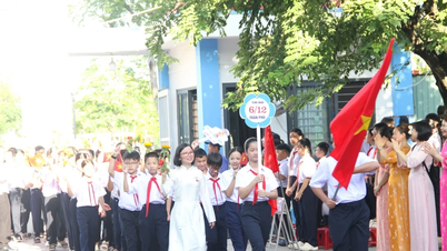 Da Nang inför zonindelning av inskrivningsplatser för grundskolor och gymnasieskolor mitt i trycket från den ökande befolkningen på grund av migration.