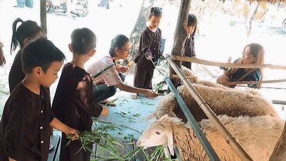 Những nông trại giữa lòng TP.HCM khiến người trẻ say đắm