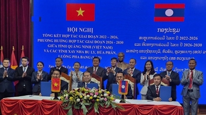 Consulatul General al Vietnamului la Luang Prabang a co-organizat Conferința de Cooperare dintre provincia Quang Ninh și trei provincii din nordul Laosului.