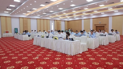 Wsparcie akcjonariuszy – solidny fundament przełomowego rozwoju PTSC Thanh Hoa.