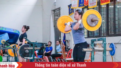 Cử tạ vươn mình nhờ làm tốt đào tạo trẻ