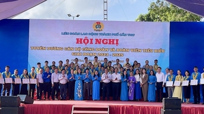 Cần Thơ: Vinh danh cán bộ công đoàn và đoàn viên tiêu biểu