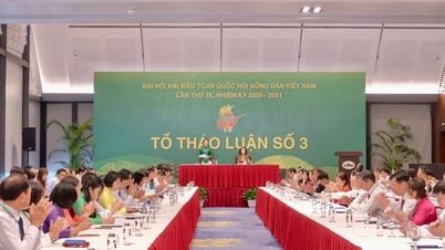 Đại hội lần thứ IX Hội Nông dân Việt Nam: Đại biểu tích cực tham góp ý kiến hoàn thiện văn kiện