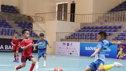 Børneholdene fra Yen Thanh, Thanh Vinh, Que Phong og Cua Lo opnåede stor succes i deres åbningskampe.