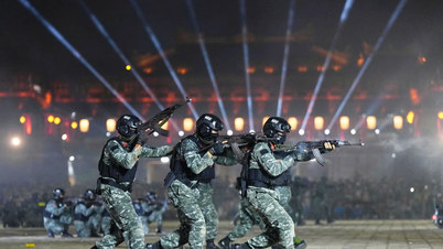 Des démonstrations impressionnantes de professionnalisme et d'arts martiaux ont été réalisées par les forces de police.