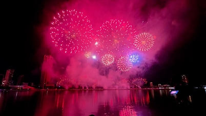 DIFF 2026 - A flourishing display of heritage colors along the Han River.