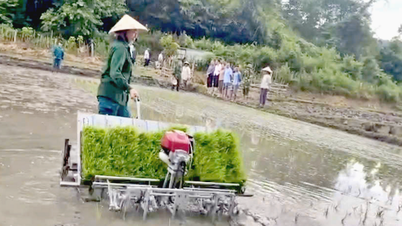 Máy cấy lên bản biên giới Nghệ An