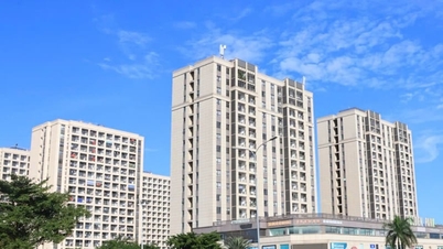 Nella provincia di Bac Ninh vengono lanciati quasi 2.000 alloggi sociali, con prezzi a partire da oltre 12 milioni di VND/m2.