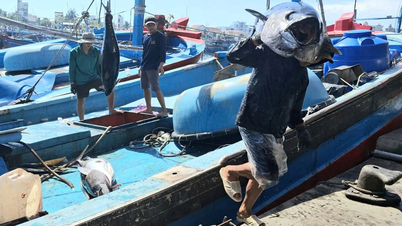 Kapal-kapal yang tiba di pelabuhan dipenuhi dengan kegembiraan.