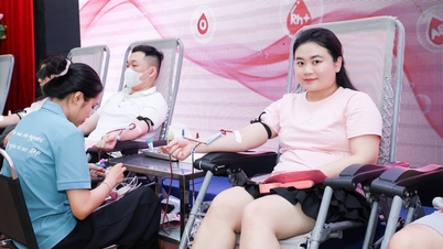 Tiếp nhận 255 đơn vị máu tại Chương trình 'Giọt hồng sẻ chia'