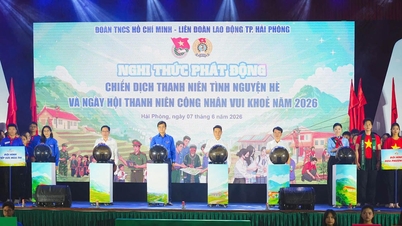 Tuổi trẻ Hải Phòng phát huy tinh thần xung kích vì sự phát triển của thành phố