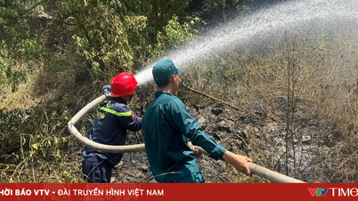 Em Da Nang, incêndios perigosos são extintos, impedindo que as chamas se espalhem pela floresta.