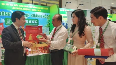 "Vua rong nho" Khánh Hoà kiến nghị xây dựng chương trình "Trí thức đồng hành cùng nông dân"