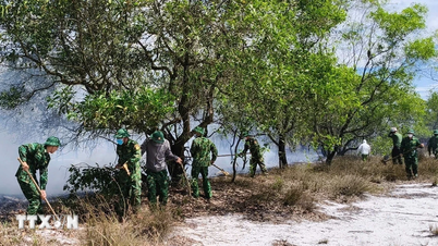 Provinsi Quang Ngai dengan cepat memadamkan kebakaran hutan di hutan lindung pesisir.