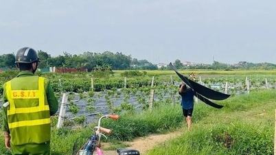 เที่ยวบิน 7 เที่ยวได้รับผลกระทบหลังจากนักบินพบว่าว่าวอยู่ที่สนามบินนอยบาย