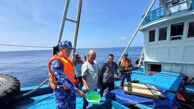 Myndighederne beslaglagde et skib med over 150.000 liter dieselolie.