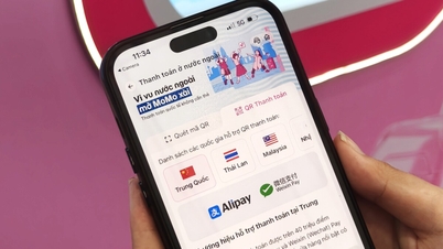 A MoMo reafirma seu papel como uma empresa fintech que conecta um ecossistema financeiro digital abrangente.