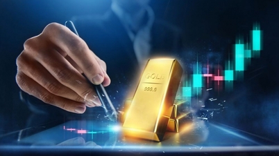 Gold prices today, June 8, 2026, plummeted dramatically as a wave of sell-offs pushed prices to rock bottom, officially marking the beginning of a deep correction phase for the market.