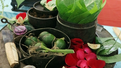 ຈາກເລື່ອງລາວກ່ຽວກັບໝາກຖົ່ວ ແລະ ໃບໝາກເຂືອ ຈົນເຖິງຄວາມມຸ່ງຫວັງທີ່ຈະສ້າງຜະລິດຕະພັນວັດທະນະທຳຫວຽດນາມ.