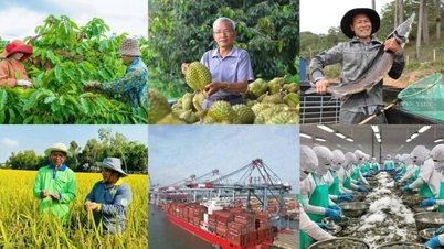 La Asociación de Agricultores de Vietnam y el campesinado vietnamita han contribuido enormemente a los logros de los 40 años de reforma nacional integral.