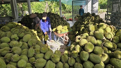ການສົ່ງອອກສິນຄ້າກະສິກຳສ້າງກຳໄລສຸດທິຈຳນວນຫຼວງຫຼາຍ.