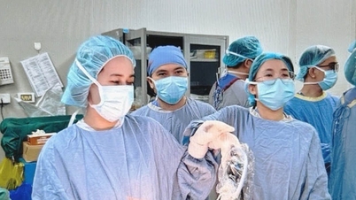 2種類の癌を同時に患っていた患者に対し、腹腔鏡手術が成功裏に実施された。