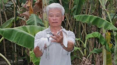 Seorang petani di Ca Mau telah menghabiskan lebih tiga dekad "membina rumah" untuk burung liar.