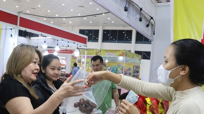 Promover o valor dos produtos vietnamitas