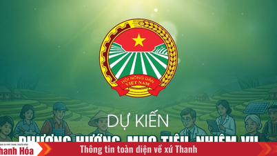 Arah, tujuan, dan tugas yang diharapkan dari Asosiasi Petani Vietnam untuk periode 2026-2031.