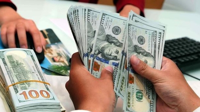 Cursul de schimb USD astăzi, 8 iunie 2026: Menținerea impulsului ascendent pe măsură ce euro și lira sterlină scad brusc.