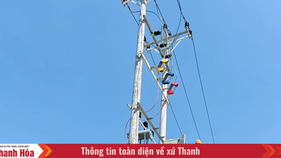 Mengikuti perkembangan sosial-ekonomi provinsi Thanh Hoa.