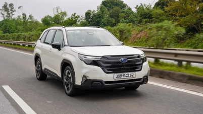 Vietnamlı kullanıcılar Subaru Forester'ın arızalı açılır tavanından endişe duyuyor; Japon otomobil üreticisi konuyla ilgili açıklama yaptı.