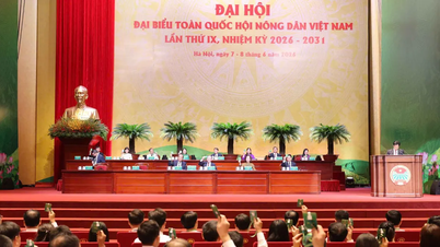 Sáng nay 8-6, khai mạc Đại hội IX Hội Nông dân Việt Nam