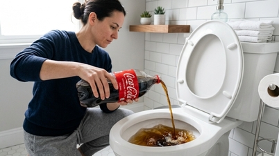 Was soll das, Coca-Cola in die Toilette zu schütten?