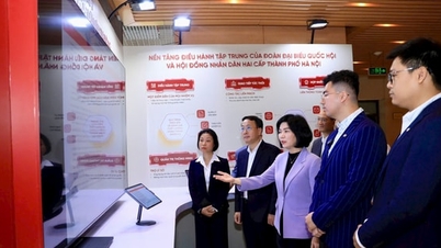 Hanoi: A Népi Tanács védjegye a kétszintű helyi önkormányzat működésének első évében.