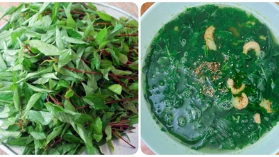 Ăn rau đay thường xuyên có tác dụng gì?