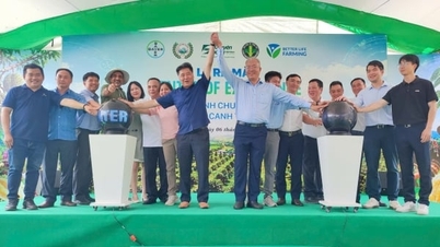 Overdracht van duurzame landbouwtechnologieën voor durian en koffie.