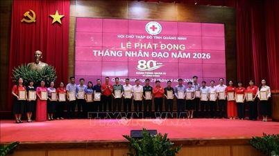 Quang Ninh-provinsen tillader fusion af fire masseorganisationer.