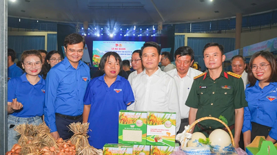 Belia Hai Phong melancarkan kempen sukarelawan musim panas 2026