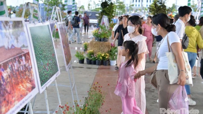 Đông đảo người dân đến tham quan Triển lãm ảnh “Nét đẹp miền sông nước”