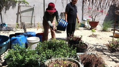 Quang Ngai: Se necesitan medidas urgentes para paliar la escasez de agua potable que afecta a aproximadamente 1.400 hogares.
