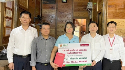 Hơn 326 tỷ đồng bồi thường sau 5 tháng, ABIC giữ trọn cam kết