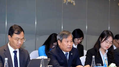 Hanoi își propune să stabilească relații strânse de cooperare cu localitățile din Timorul de Est.
