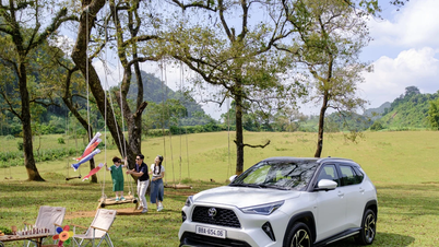 Toyota menawarkan diskon hingga 100% untuk biaya pendaftaran kendaraan selama musim panas.