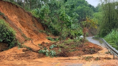 Tinjau area-area rawan dan tanggapi secara proaktif terhadap banjir yang meluas.