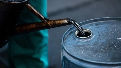 Regarding E10 gasoline, the Ministry of Industry and Trade has directed the sharing of supply and profit.